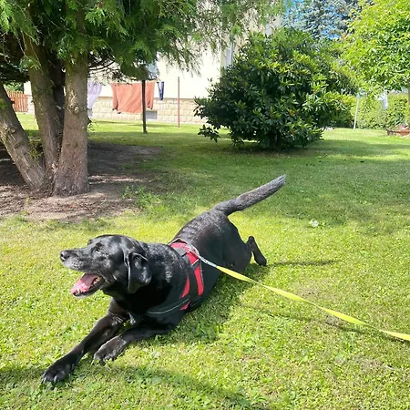 דירה Wanderglueck *